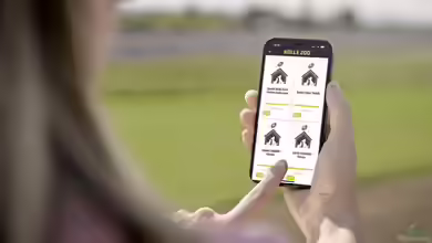Digital, loyal, sozial - Wie die Kölle Zoo App Handel und Tierschutz verbindet