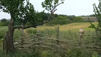 Flechtzaun - Natürlicher Sichtschutz mit Tradition und moderner Gartenästhetik