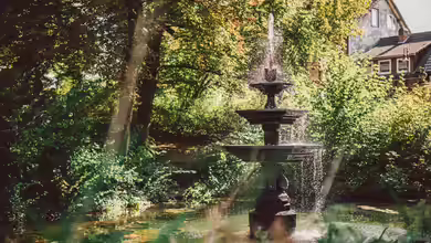 Kleine Wasserspiele im Gartenteich: Sinnvoll oder störend für die Tierwelt?