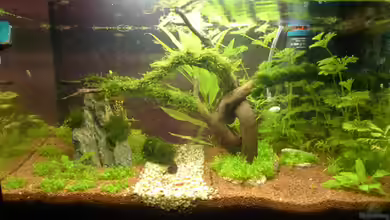 Nano Becken 45L von Flevus