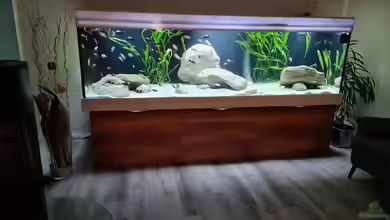 Underwaterworld von Daim75