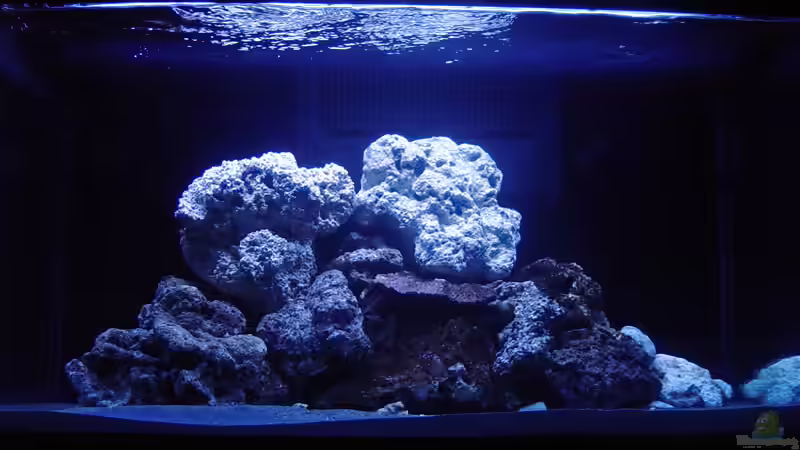 Aquarium Hauptansicht von A Piece of Reef Obsolete Aquarium Hauptansicht von A Piece of Reef Obsolete