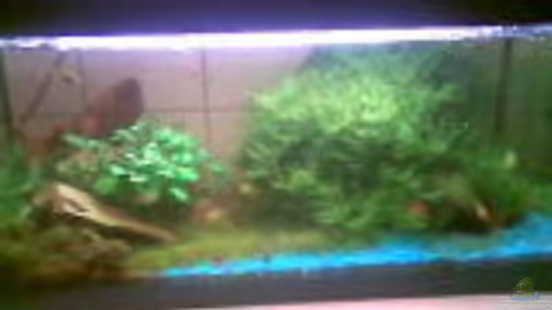 Aquarium Hauptansicht von Becken 3222 Aquarium Hauptansicht von Becken 3222