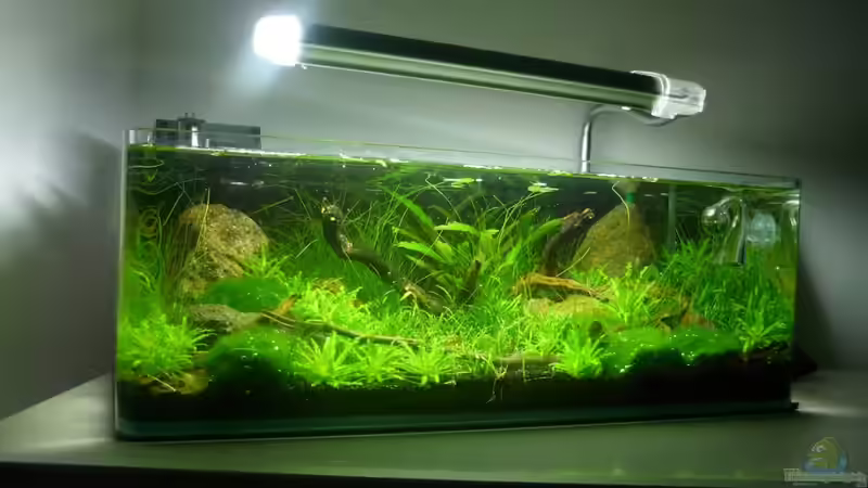 Aquarium Hauptansicht von Grüne Hügel Aquarium Hauptansicht von Grüne Hügel