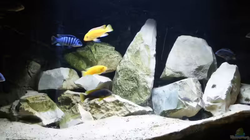 Hauptbild 15.09.2015 Hauptbild 15.09.2015