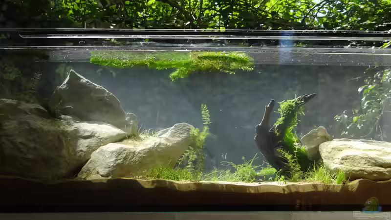 In der Vormittagssonne In der Vormittagssonne