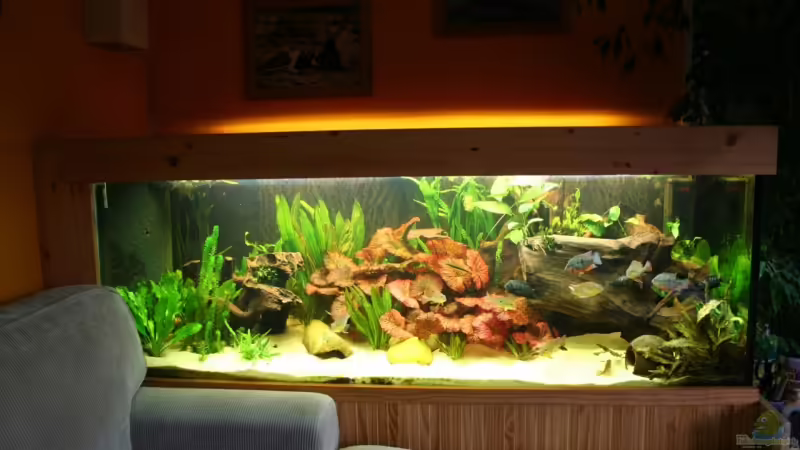 meine Unterwasserwelt meine Unterwasserwelt