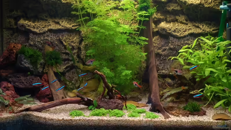 My Aquaspace 2.0 My Aquaspace 2.0