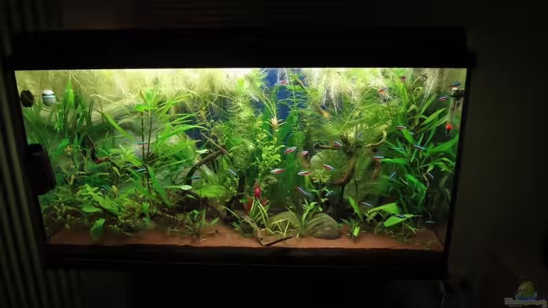 neues Hauptbild vom 10.10.10 neues Hauptbild vom 10.10.10