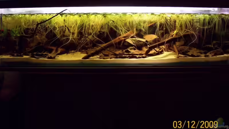 Update 03.12.2009 Update 03.12.2009