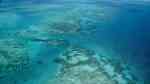 Das Great Barrier Reef (Einrichtungsbeispiele nach Vorbild des Great Barrier Reef)
