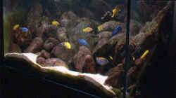 Aquarium Becken 2188