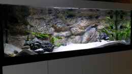 Foto mit Aquarium mit LED-Beleuchtung