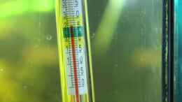 Foto mit Herkömmliches Thermometer,genauer