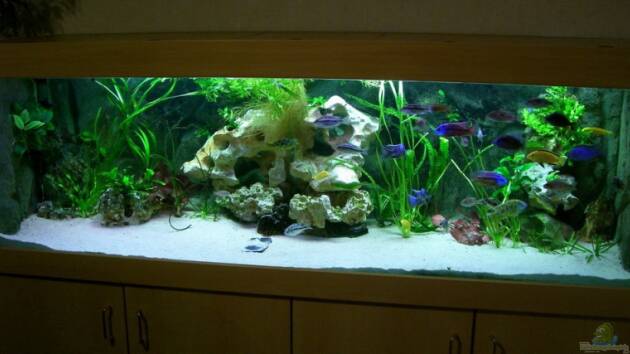 Zum Beispiel Becken 3714