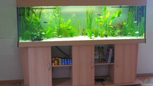 Zum Beispiel Becken 479