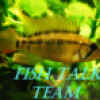 Userbild von Adamov