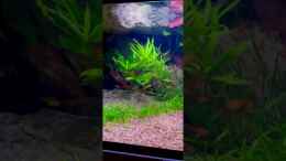 Video Abendstimmung von André Sidler (6Op2S5Ns6Xo)