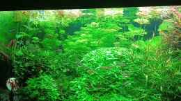 Video Mein neuer Besatz von odin 68 (ooGgyvg5Jc8)