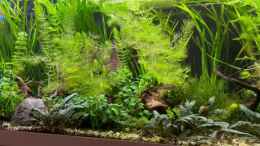 Video Oktober 2025 von Ceylon (zVmpUnyZrRA)