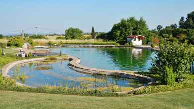 Einrichtungsbeispiele für Schwimmteiche (Einen Schwimmteich anlegen und gestalten)