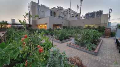 Der Urbane Garten (Einrichtungsbeispiele für Stadtgärten)