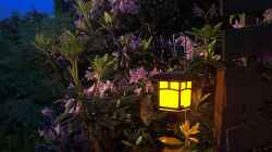 Das richtige Ambient mit Beleuchtung für Terrasse und Garten