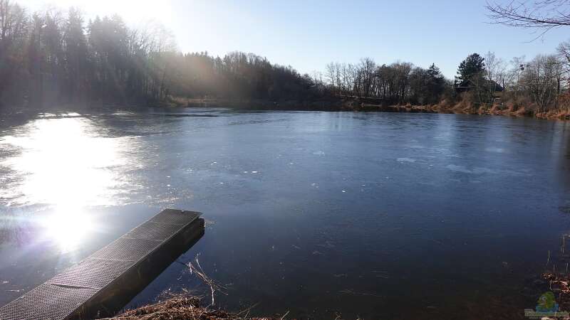 Definition: Teich oder Weiher?