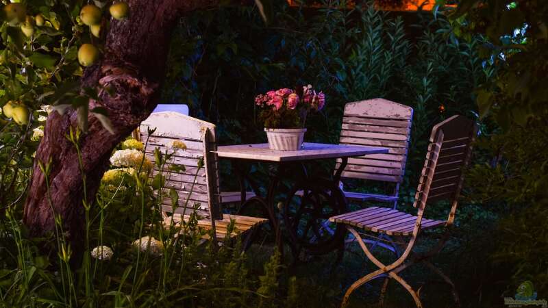 Wie kann man eine Sitzecke am Gartenteich kreativ gestalten