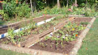 Der Artikel Die nachhaltige Fruchtfolge: So erhältst du einen gesunden, fruchtbaren Boden ist neu oder wurde geändert.