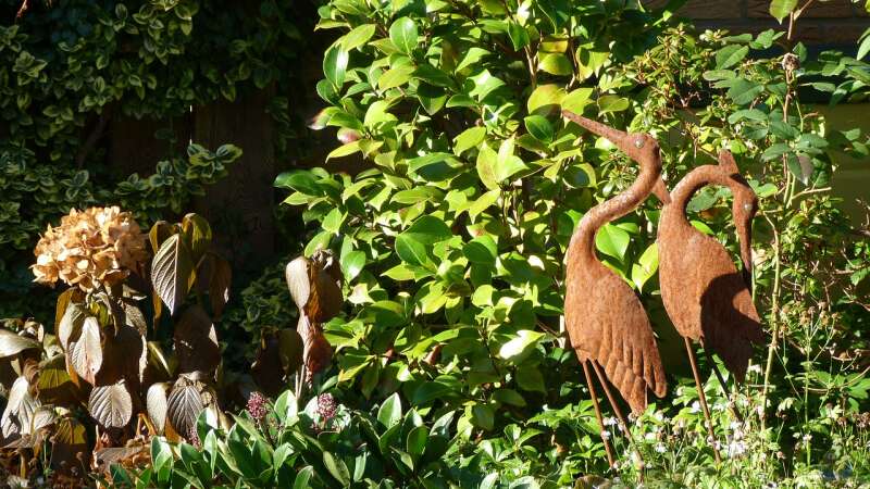 Garten ohne Plastik: Ist das möglich?