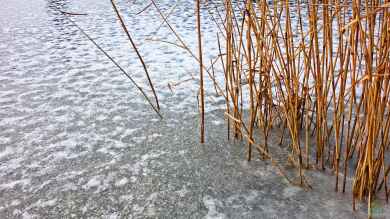 Teichtechnik im Winter: Was tun mit Pumpen und Filtern?