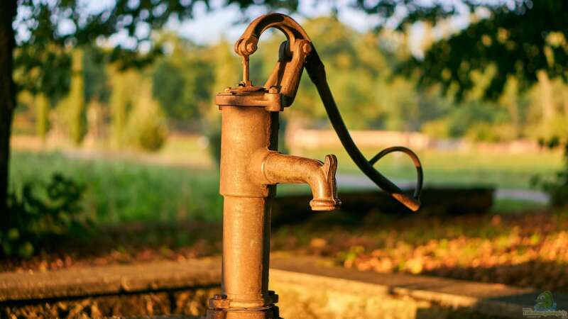 Einen Brunnen im Garten selber bohren: So gelingt der Zugang zum eigenen Wasser