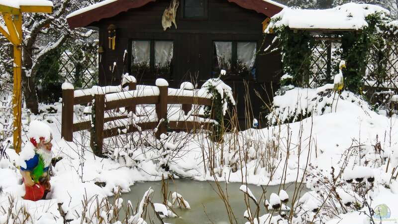 Der Hochwinter im Gartenteich – Was jetzt wichtig ist