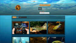 Screenshot von www.malawi-guru.de