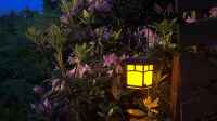 Der Artikel Das richtige Ambient mit Beleuchtung für Terrasse und Garten ist neu oder wurde geändert.