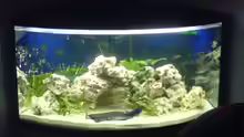 350 Liter Echaquarium