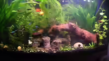 Aquarium 180L