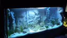Aquarium Becken 10047