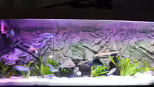 Aquarium Becken 10184