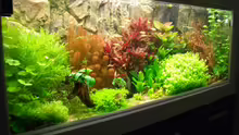 Aquarium Becken 10440