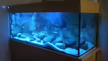 Aquarium Becken 11118