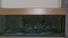 Aquarium Becken 11118
