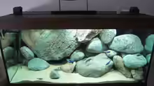 Aquarium Becken 11465