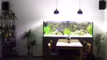 Aquarium Becken 11633