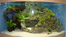 Aquarium Becken 11876