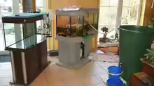 Aquarium Becken 11953