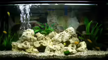 Aquarium Becken 12208