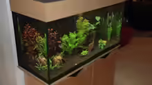 Aquarium Becken 12221