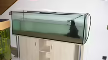 Aquarium Becken 12421